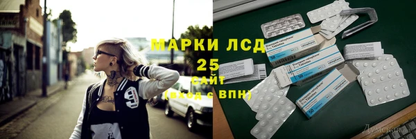 мяу мяу мука Аркадак