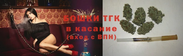 мяу мяу мука Аркадак