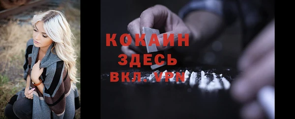 мяу мяу мука Аркадак