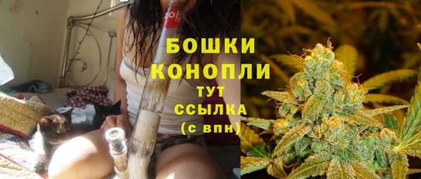 эйфоретик Арсеньев