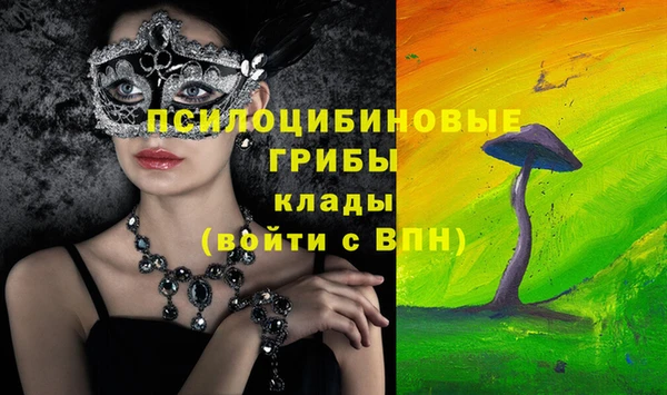 мяу мяу мука Аркадак