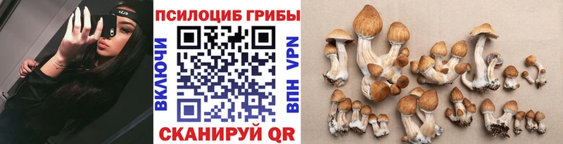 Псилоцибиновые грибы ЛСД  где купить   Осташков 