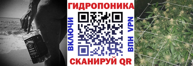 Конопля семена  OMG как войти  Осташков 